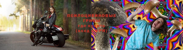 прущие грибы Армянск
