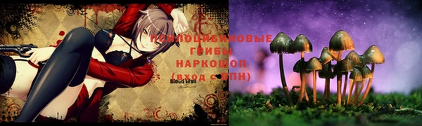 прущие грибы Армянск