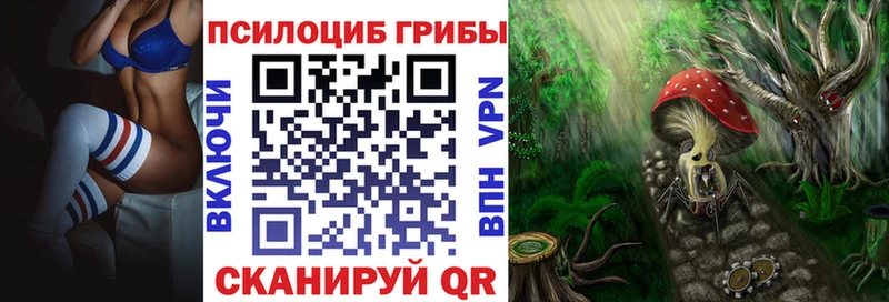Псилоцибиновые грибы Psilocybe  Красноуральск 